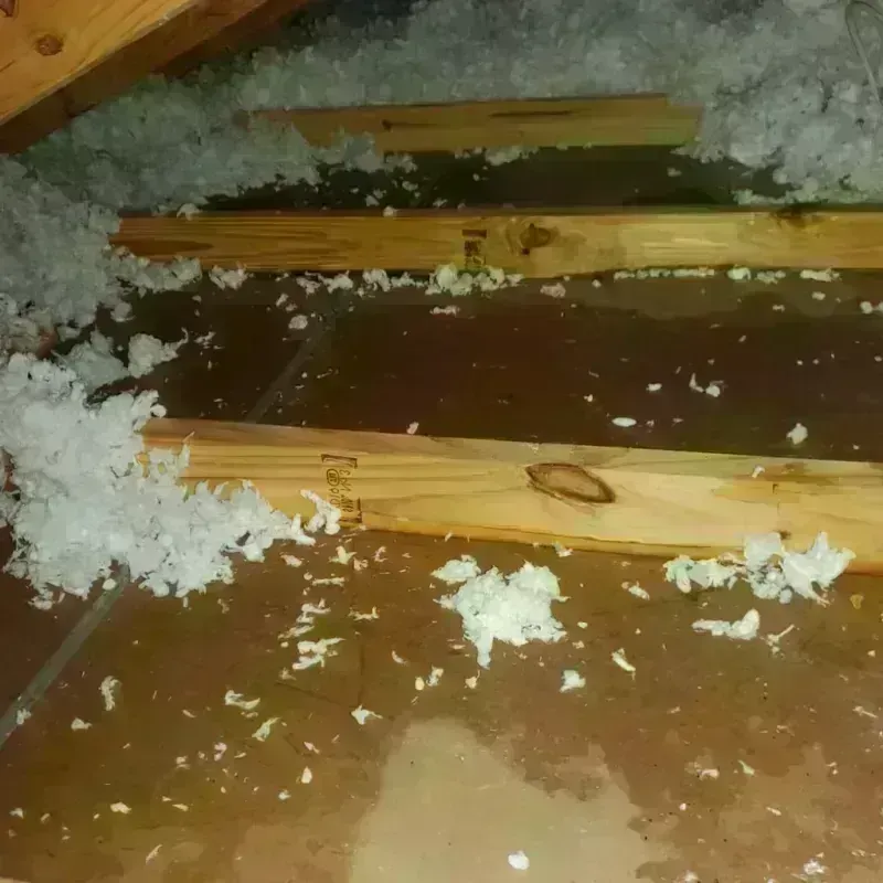 Attic Water Damage in Parkville, MO