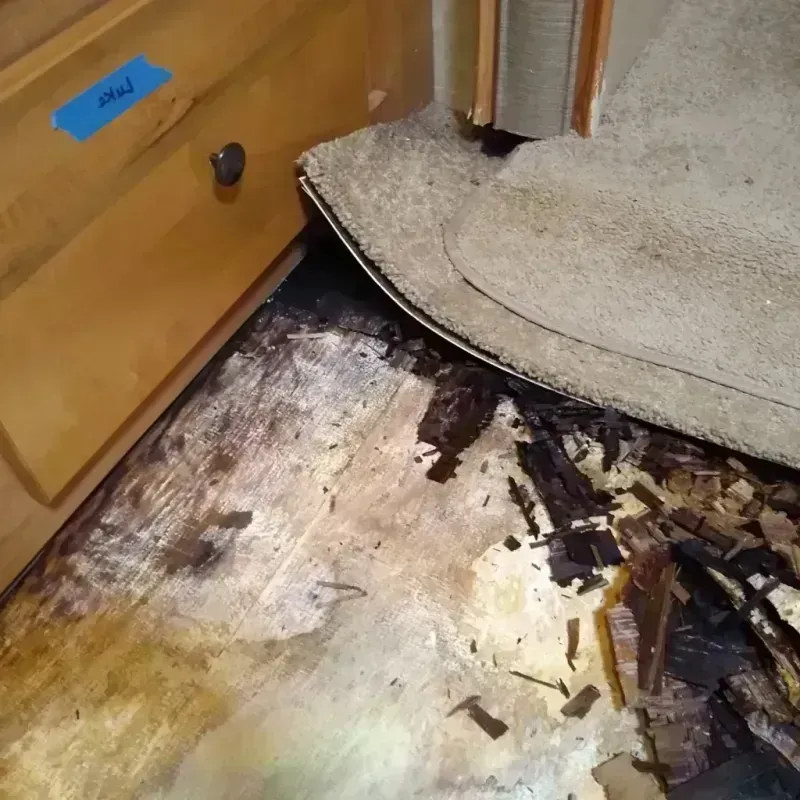 Wood Floor Water Damage in Parkville, MO